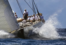 St Barts Bucket