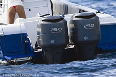 St Barts Bucket