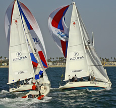Congressional Cup